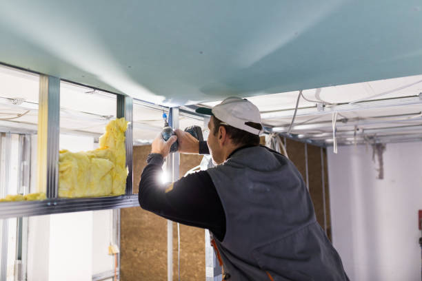 Best Insulation Installation Services in Cheney, KS