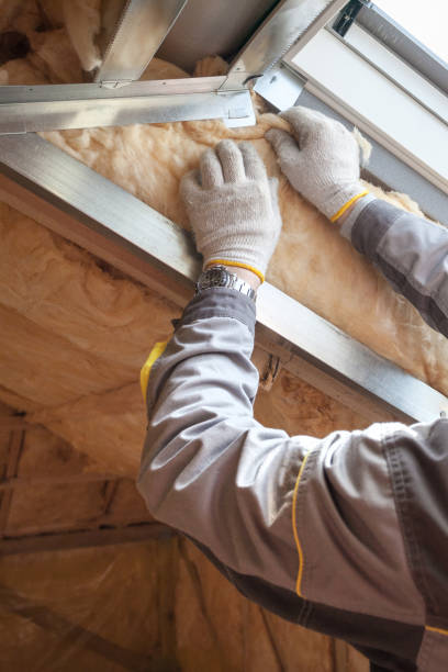 Best Insulation Installation Services in Cheney, KS