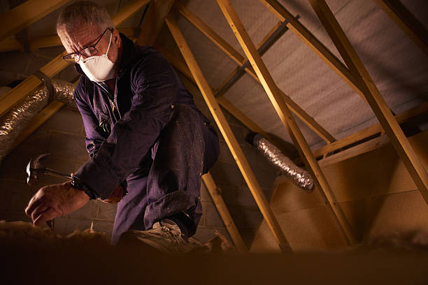 Best Insulation Maintenance and Repair in Cheney, KS